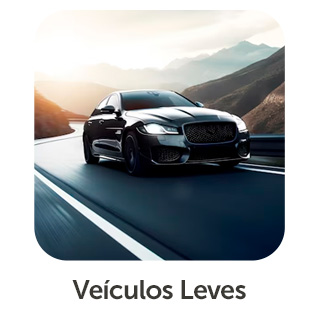 veiculosleves